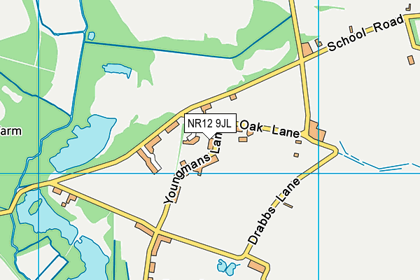 NR12 9JL map - OS VectorMap District (Ordnance Survey)