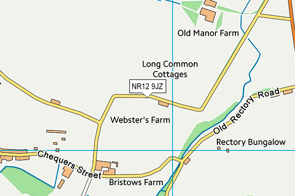 NR12 9JZ map - OS VectorMap District (Ordnance Survey)