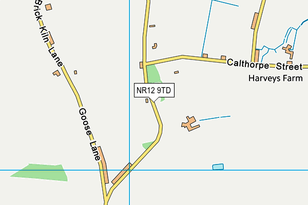 Ingham Recreation Ground map (NR12 9TD) - OS VectorMap District (Ordnance Survey)