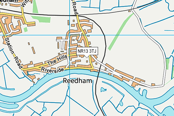 Reedham Primary School map (NR13 3TJ) - OS VectorMap District (Ordnance Survey)