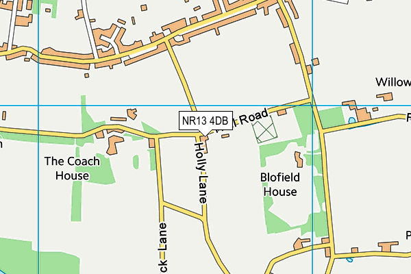 NR13 4DB map - OS VectorMap District (Ordnance Survey)