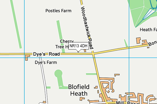 NR13 4DH map - OS VectorMap District (Ordnance Survey)