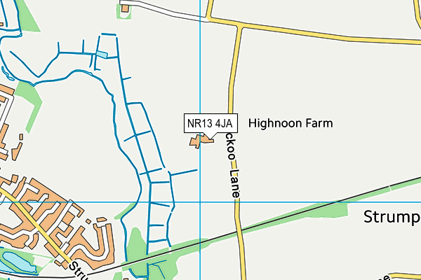 NR13 4JA map - OS VectorMap District (Ordnance Survey)
