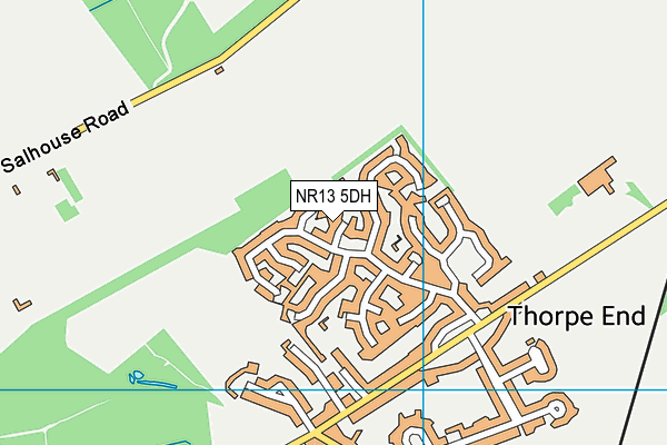 NR13 5DH map - OS VectorMap District (Ordnance Survey)
