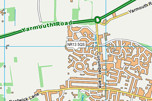 NR13 5QS map - OS VectorMap District (Ordnance Survey)