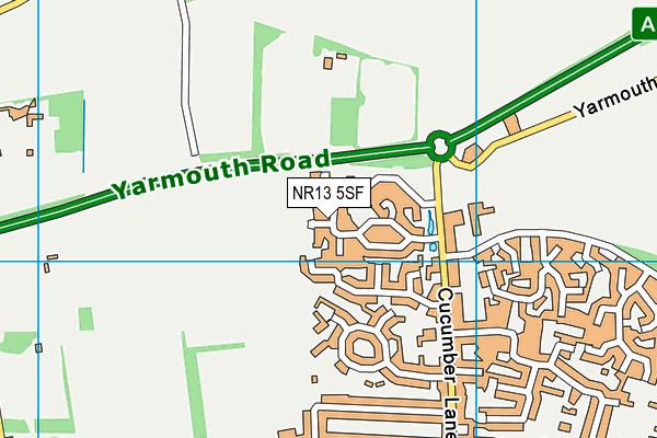 NR13 5SF map - OS VectorMap District (Ordnance Survey)