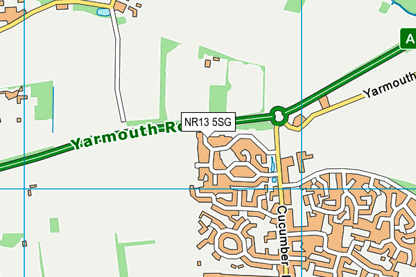 NR13 5SG map - OS VectorMap District (Ordnance Survey)