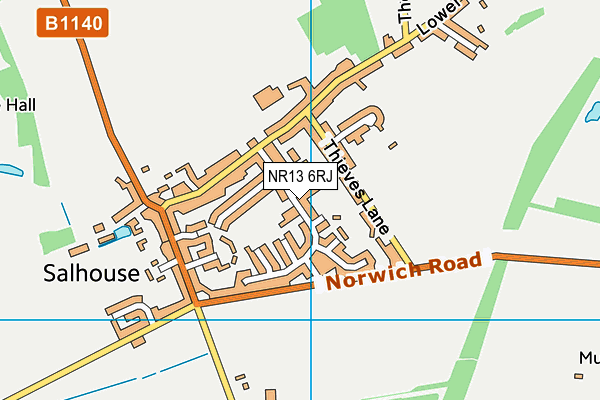 Salhouse Vc Primary School map (NR13 6RJ) - OS VectorMap District (Ordnance Survey)