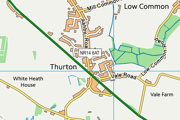 Thurton Primary School map (NR14 6AT) - OS VectorMap District (Ordnance Survey)
