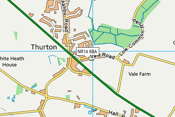 NR14 6BA map - OS VectorMap District (Ordnance Survey)