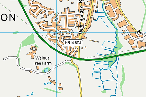 NR14 6DJ map - OS VectorMap District (Ordnance Survey)