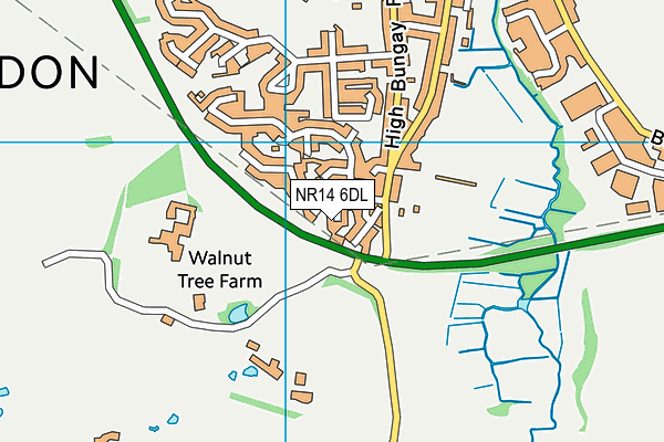 NR14 6DL map - OS VectorMap District (Ordnance Survey)
