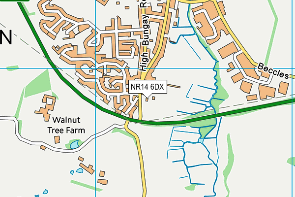 NR14 6DX map - OS VectorMap District (Ordnance Survey)