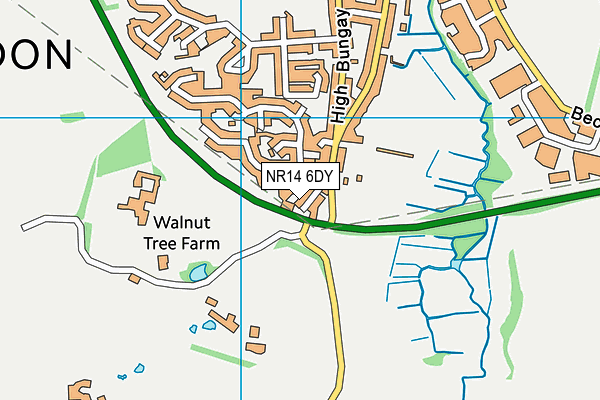 NR14 6DY map - OS VectorMap District (Ordnance Survey)