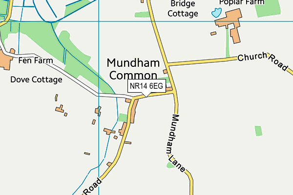 NR14 6EG map - OS VectorMap District (Ordnance Survey)