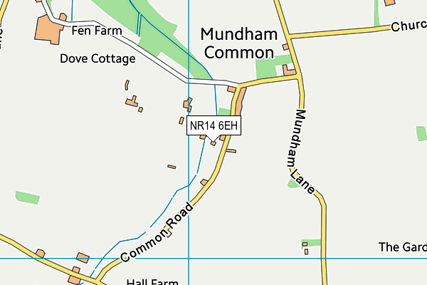 NR14 6EH map - OS VectorMap District (Ordnance Survey)