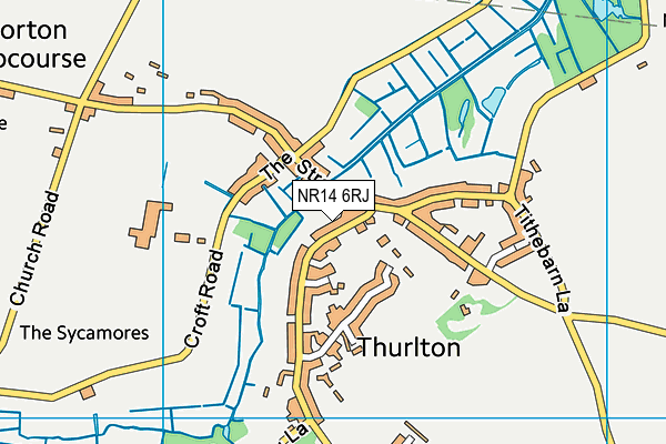 NR14 6RJ map - OS VectorMap District (Ordnance Survey)