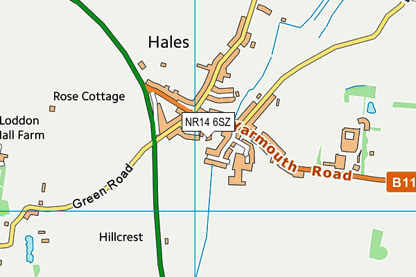 NR14 6SZ map - OS VectorMap District (Ordnance Survey)