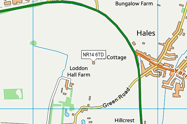 NR14 6TD map - OS VectorMap District (Ordnance Survey)