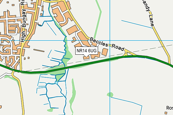 NR14 6UG map - OS VectorMap District (Ordnance Survey)