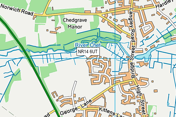 NR14 6UT map - OS VectorMap District (Ordnance Survey)