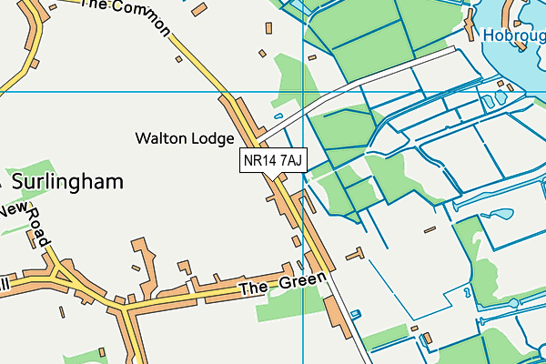 NR14 7AJ map - OS VectorMap District (Ordnance Survey)