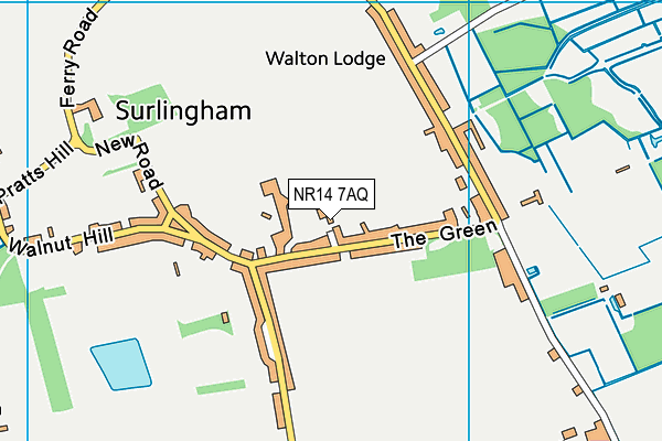 NR14 7AQ map - OS VectorMap District (Ordnance Survey)