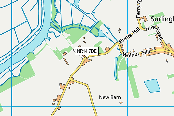 NR14 7DE map - OS VectorMap District (Ordnance Survey)