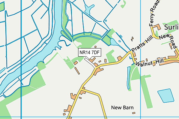 NR14 7DF map - OS VectorMap District (Ordnance Survey)