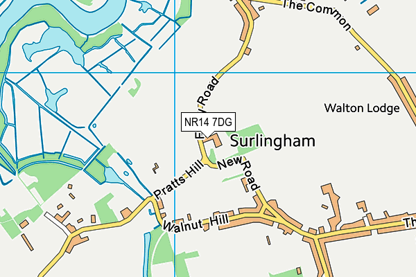 NR14 7DG map - OS VectorMap District (Ordnance Survey)