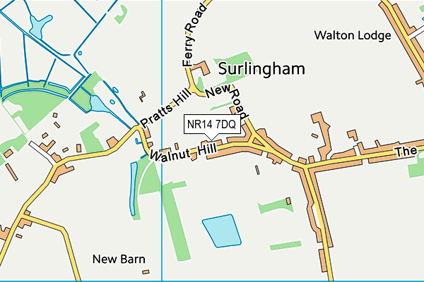 Surlingham Primary School map (NR14 7DQ) - OS VectorMap District (Ordnance Survey)