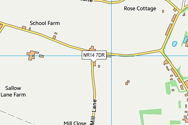 NR14 7DR map - OS VectorMap District (Ordnance Survey)