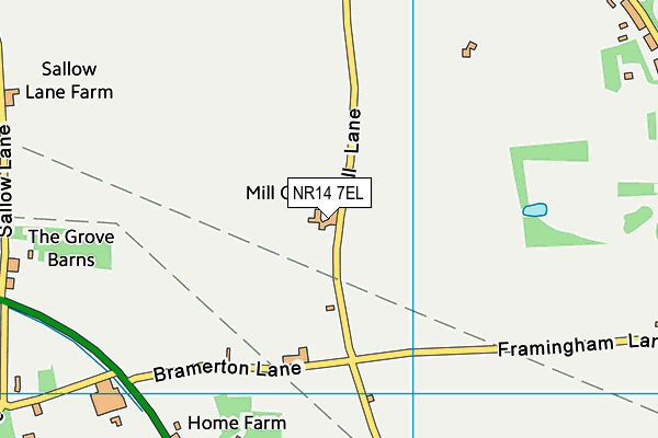 NR14 7EL map - OS VectorMap District (Ordnance Survey)