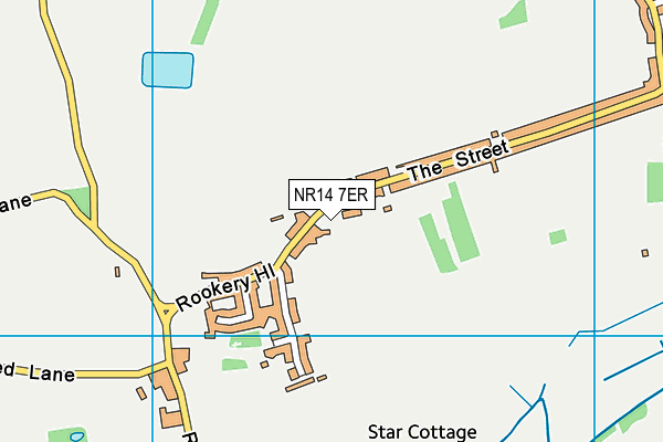NR14 7ER map - OS VectorMap District (Ordnance Survey)