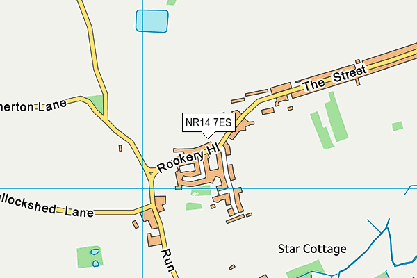NR14 7ES map - OS VectorMap District (Ordnance Survey)