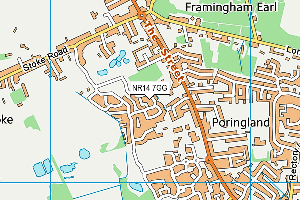 NR14 7GG map - OS VectorMap District (Ordnance Survey)