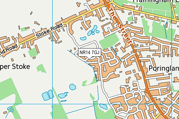 NR14 7GJ map - OS VectorMap District (Ordnance Survey)