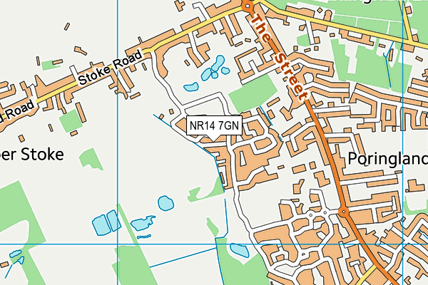 NR14 7GN map - OS VectorMap District (Ordnance Survey)