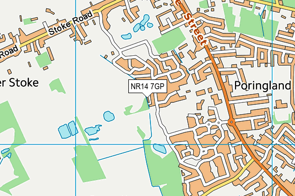 NR14 7GP map - OS VectorMap District (Ordnance Survey)