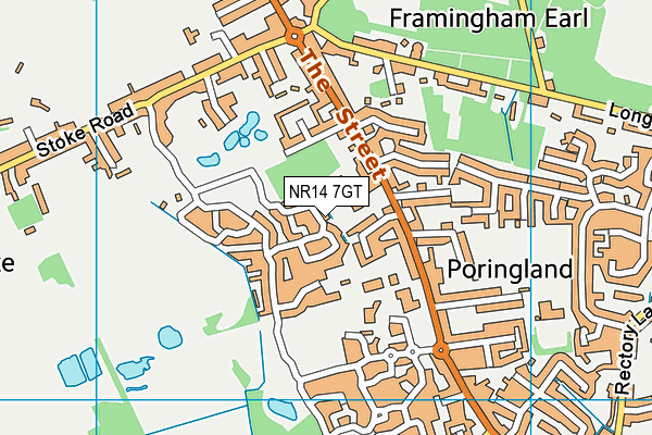 NR14 7GT map - OS VectorMap District (Ordnance Survey)