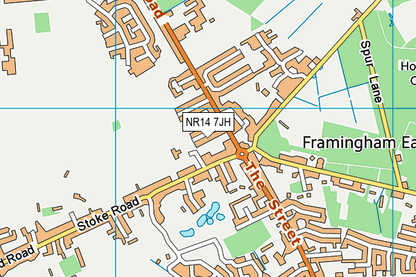 NR14 7JH map - OS VectorMap District (Ordnance Survey)