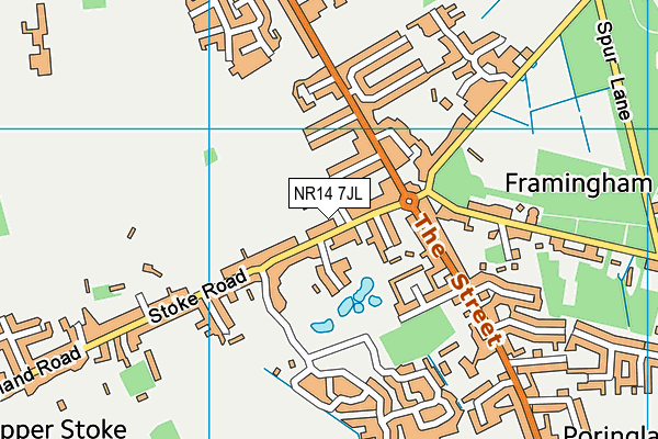 NR14 7JL map - OS VectorMap District (Ordnance Survey)