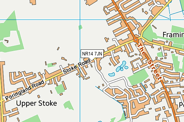 NR14 7JN map - OS VectorMap District (Ordnance Survey)