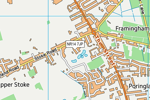 NR14 7JP map - OS VectorMap District (Ordnance Survey)