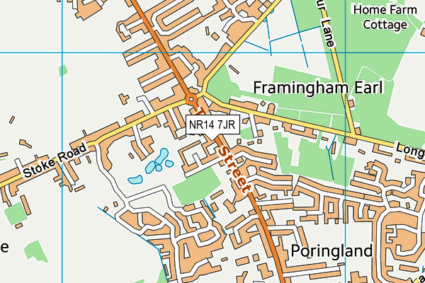 NR14 7JR map - OS VectorMap District (Ordnance Survey)