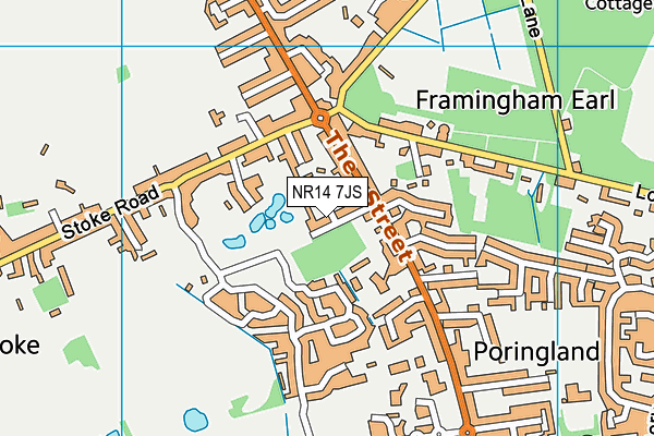 NR14 7JS map - OS VectorMap District (Ordnance Survey)