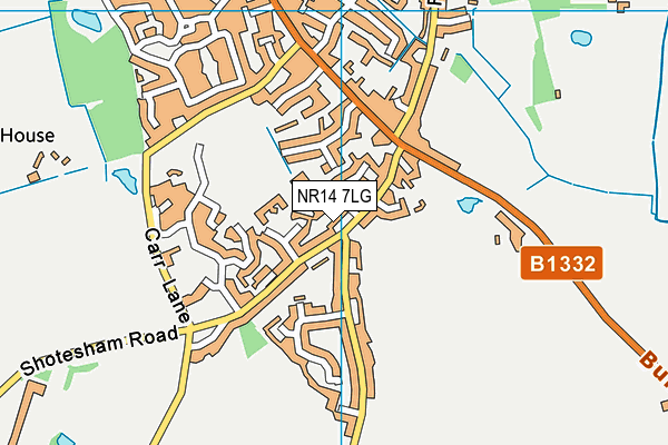 NR14 7LG map - OS VectorMap District (Ordnance Survey)