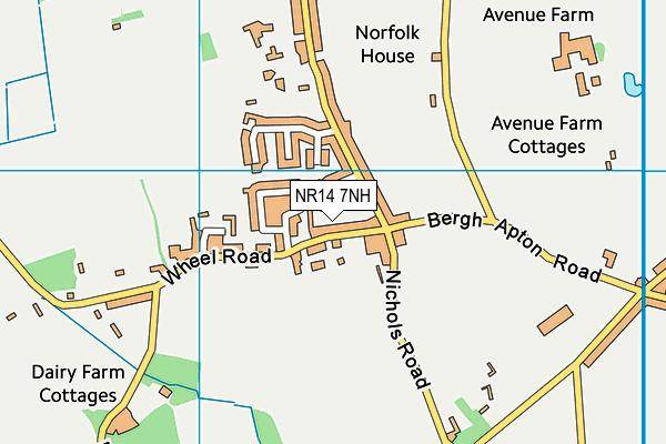 NR14 7NH map - OS VectorMap District (Ordnance Survey)