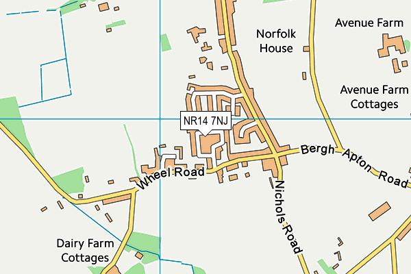 NR14 7NJ map - OS VectorMap District (Ordnance Survey)