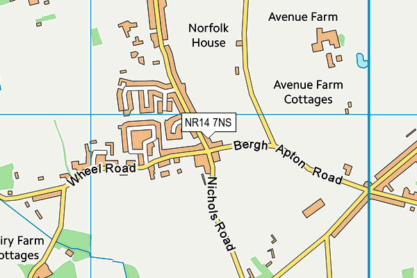 NR14 7NS map - OS VectorMap District (Ordnance Survey)